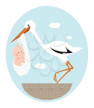 Stork and newborn baby in nest