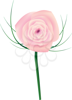 Royalty Free Clipart Image of a Pink Rose