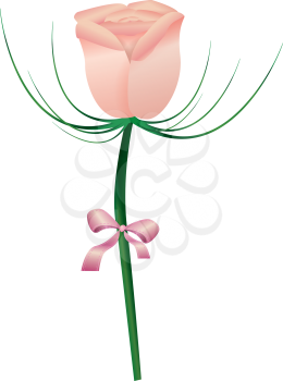 Royalty Free Clipart Image of a Rosebud