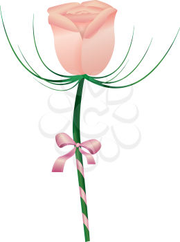 Royalty Free Clipart Image of a Single Rose