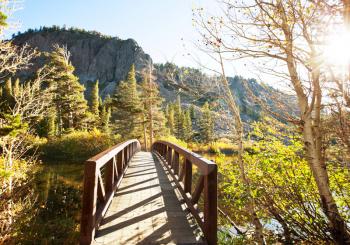 Royalty Free Photo of a Bridge in Sierra Nevada in Fall