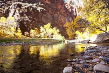 Royalty Free Photo of a River in Zion National Park