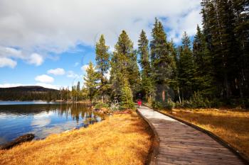 Royalty Free Photo of a Boardwalk by Autumn Lake in Autumn