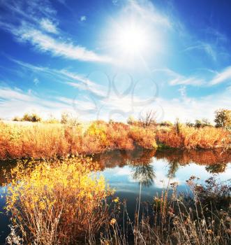 Royalty Free Photo of a Rural Landscape on a Lake