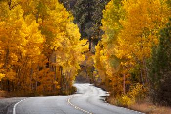 Royalty Free Photo of an Autumn Road in Sierra Nevada