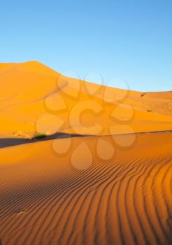 Royalty Free Photo of a Desert in Namibia