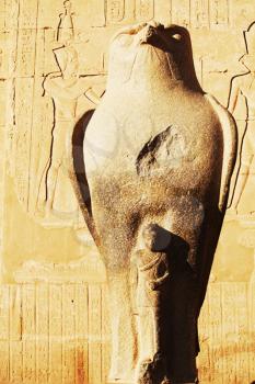 Royalty Free Photo of a Falcon Statue at The Temple of Horus at Edfu, Egypt