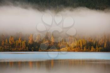 Royalty Free Photo of Fog on a Lake