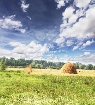 Royalty Free Photo of a Mound of Hay