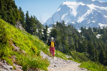 Royalty Free Photo of a Man Hiking at Mount Baker Area in Washington