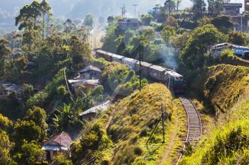 Royalty Free Photo of a Railway in Sri Lanka
