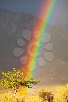 Royalty Free Photo of a Rainbow in Hawaii