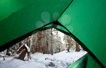 Tent in winter forest