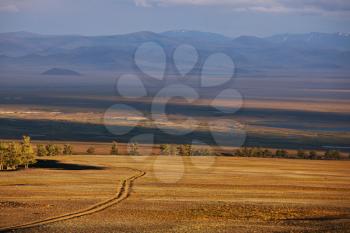 mongolian landscape