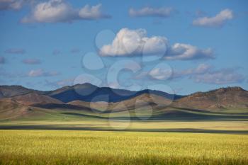 Prairie  landscapes