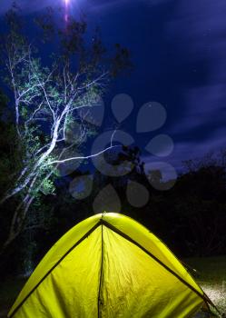 night scene in desert camping