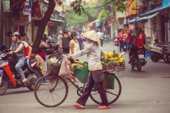 vietnamese street  vendor