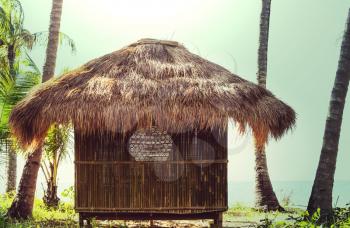 Tropical bamboo hut