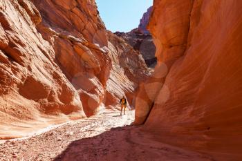 Slot canyon in Grand Staircase Escalante National park, Utah, USA. Unusual colorful sandstone formations in deserts of Utah are popular destination for hikers. 