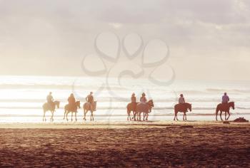 People horseback riding on shore in Costa Rica, Central America