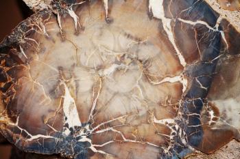 Beautiful natural agate texture. Natural background.