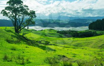Beautiful rural  landscape of the New Zealand - green hills and trees