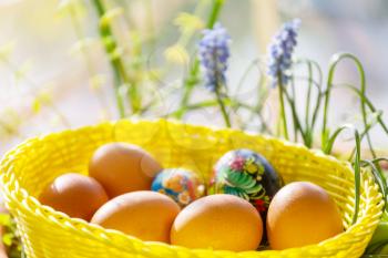 Close up Easter eggs in a basket. Spring easter background.