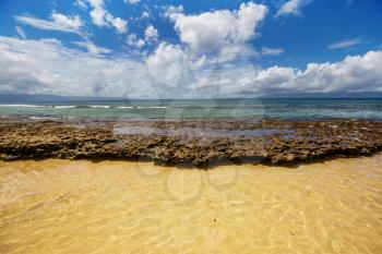 Amazing hawaiian beach