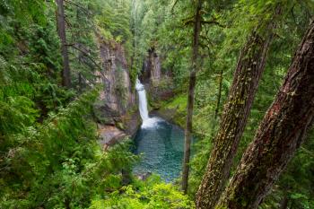 Beautiful waterfall in green forest, Oregon, USA.