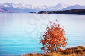 Autumn season in New Zealand mountains