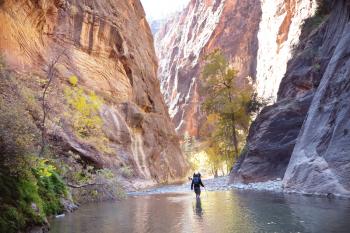People hiking in Zion narrow with Virgin river ,Zion National park, Utah, Usa.