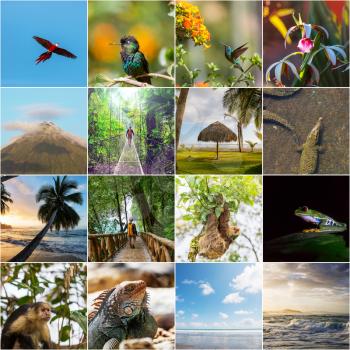 A collage of diverse landscape and animal images  of Costa Rica.