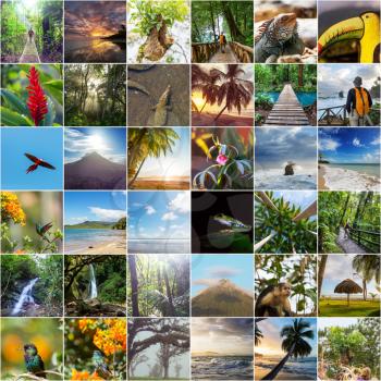 A collage of diverse landscape and animal images  of Costa Rica.