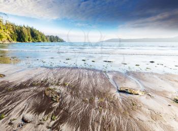Ocean beach in  Vancouver island, British Columbia, Canada