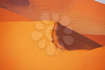 Beautiful sand dunes in the Namib desert, Namibia