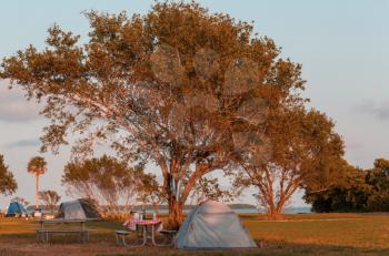 Tents in the camping in green meadow, Florida, USA