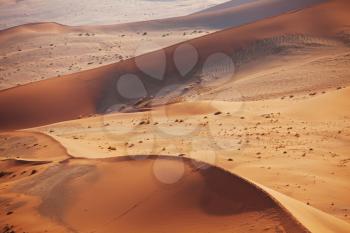 Beautiful sand dunes in the Namib desert, Namibia