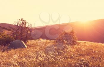 tent on green grassland