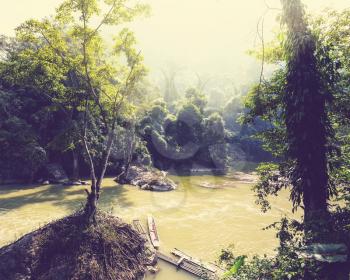 Serenity river in Vietnamese jungle