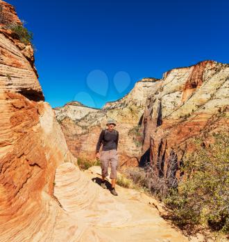 Hike in Zion national park