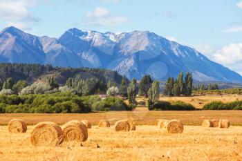 Rural landscapes in Argentina