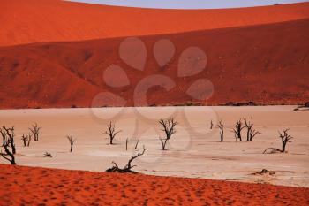 Dead Valley in Namib desert