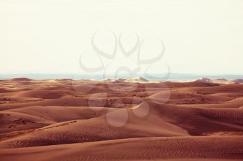 Dunes of the Gobi desert