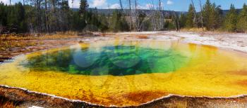 Colorful Morning Glory Pool - famous hot spring in the Yellowstone National Park, Wyoming, USA