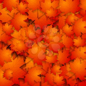 Vector autumn background with maple leaves