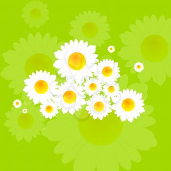 Bright summer background with camomile flowers. Vector design