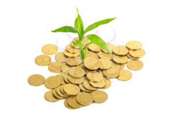 Royalty Free Photo of a Plant in Coins
