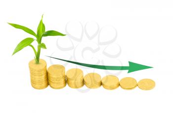 Royalty Free Photo of Gold Coins and a Plant