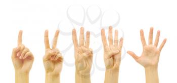 Royalty Free Photo of Hands Counting