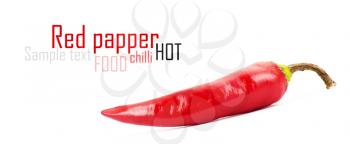 Royalty Free Photo of a Red Hot Chili Pepper